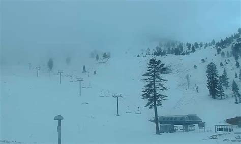 mount rose webcam|Mt. Rose